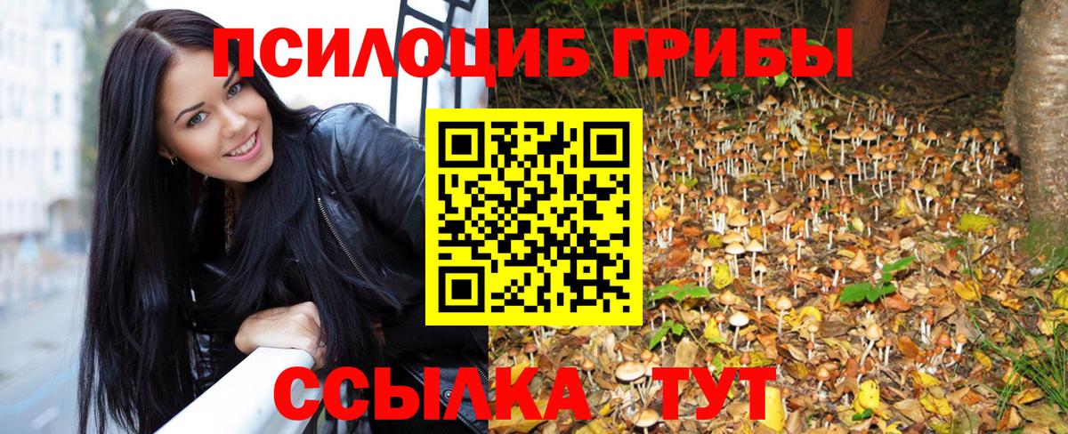 Галлюциногенные грибы Psilocybe Нижневартовск